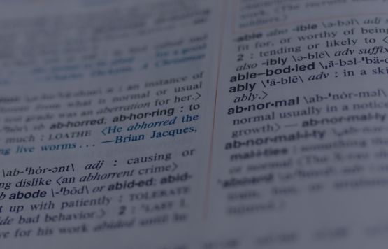 Dictionary entry